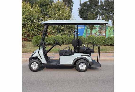 Mini smart electric 2 seater golf cart for sale with cargo box