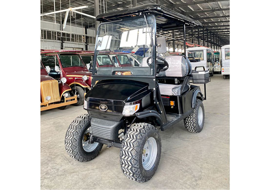 2 seats Battery Operated electric golf cart for made in China