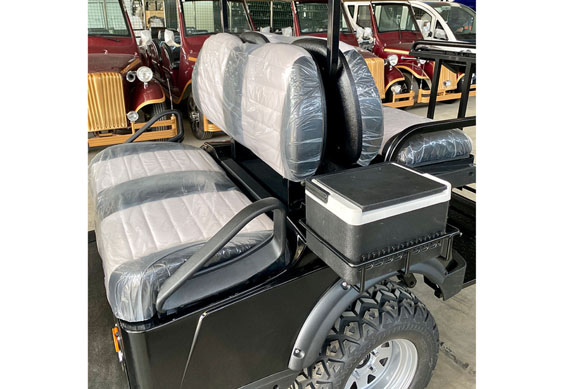 2 seats Battery Operated electric golf cart for made in China