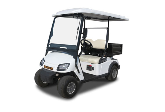 Utility Electric golf cart with cargo box great price