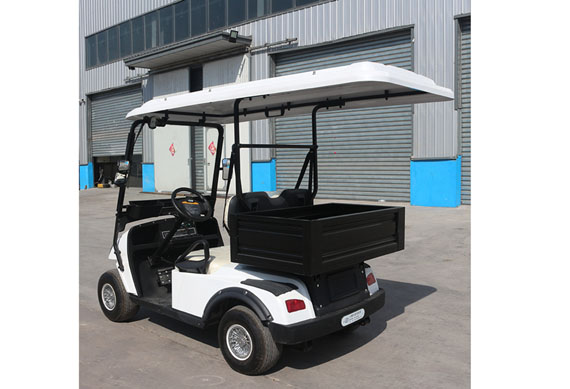 Utility Electric golf cart with cargo box great price