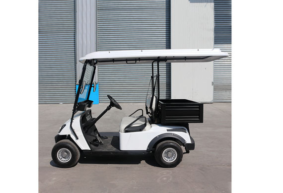 Utility Electric golf cart with cargo box great price