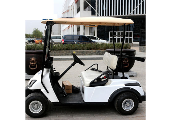 Utility Electric golf cart with cargo box great price