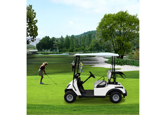 Quality single seat one person electric golf utility cart