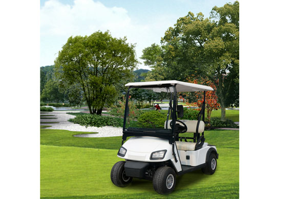 Quality single seat one person electric golf utility cart