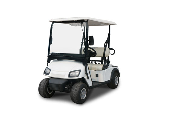 New small 2 seats electric golf cart for golf course