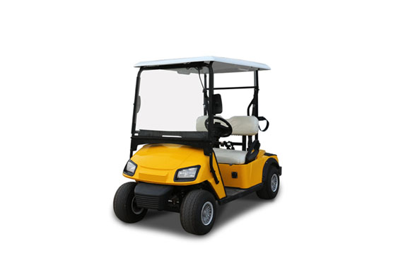 New small 2 seats electric golf cart for golf course