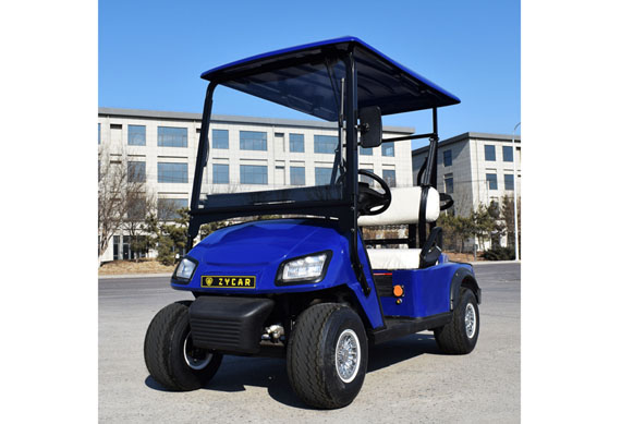 New small 2 seats electric golf cart for golf course
