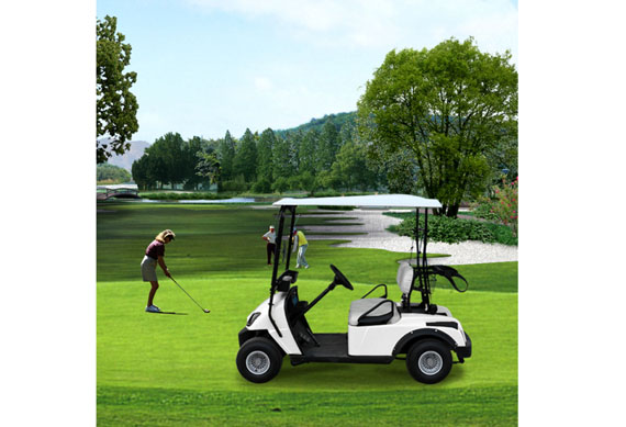 New small 2 seats electric golf cart for golf course