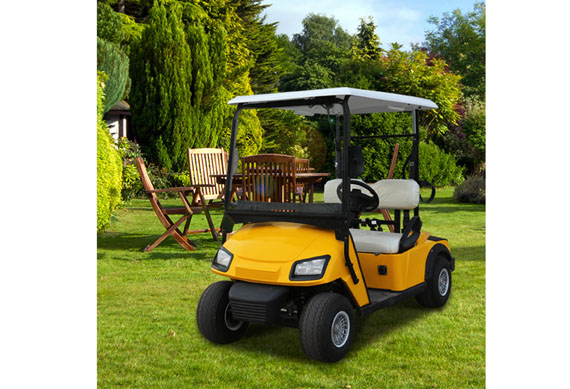 New small 2 seats electric golf cart for golf course