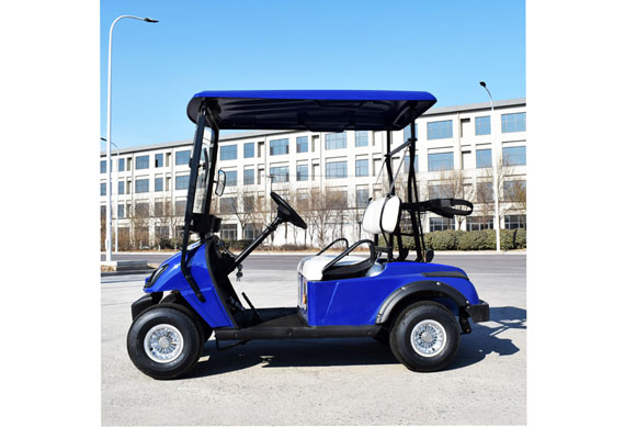 2 seats mini electric golf car