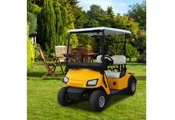 cheap new off road electric golf cart