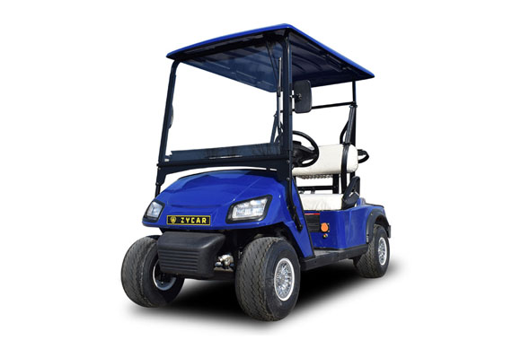 High quality golf carts from professional manufacturer