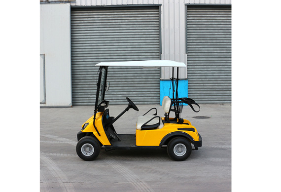 2 seater electric golf buggy from Golf cart manufacturer