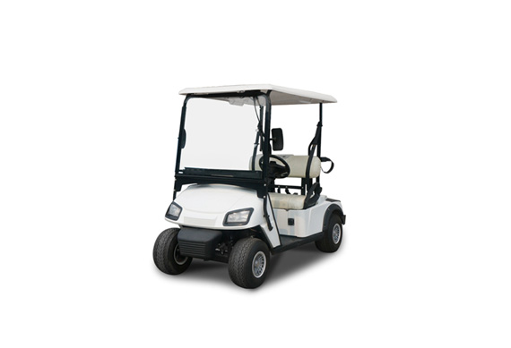 2 seater electric golf buggy from Golf cart manufacturer
