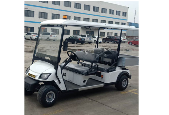 2 seater electric golf car for made in china
