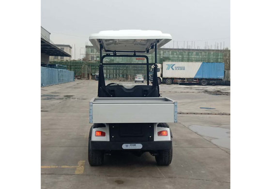 2 seater electric golf car for made in china