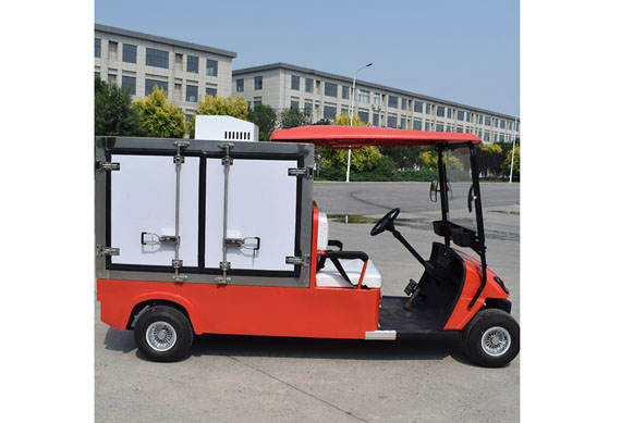 custom made electric golf cart With cooling and heating device