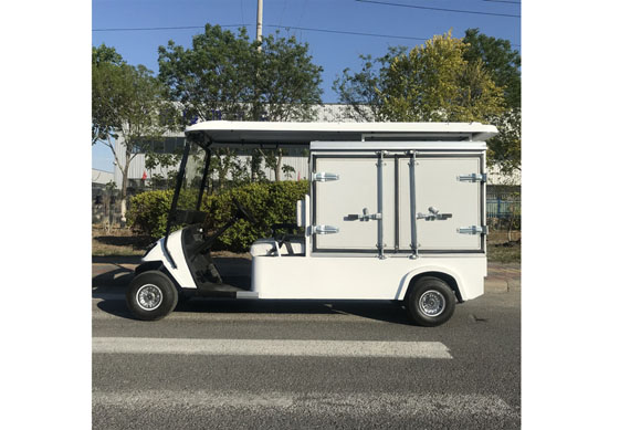 custom made electric golf cart With cooling and heating device