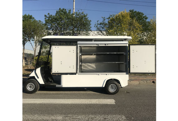 custom made electric golf cart With cooling and heating device