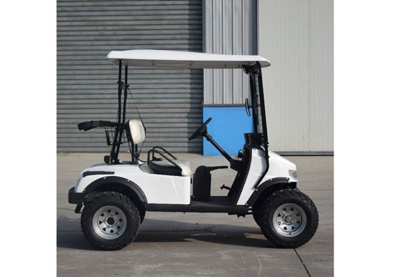 2 seater electric golf car for tourist