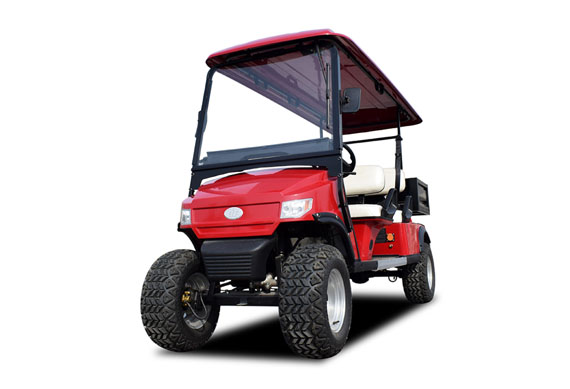 Custom Professional golf cart bodies