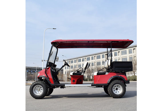 Custom Professional golf cart bodies