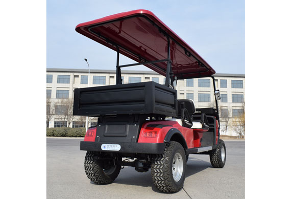 Custom Professional golf cart bodies