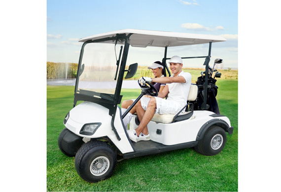 Custom Professional golf cart bodies