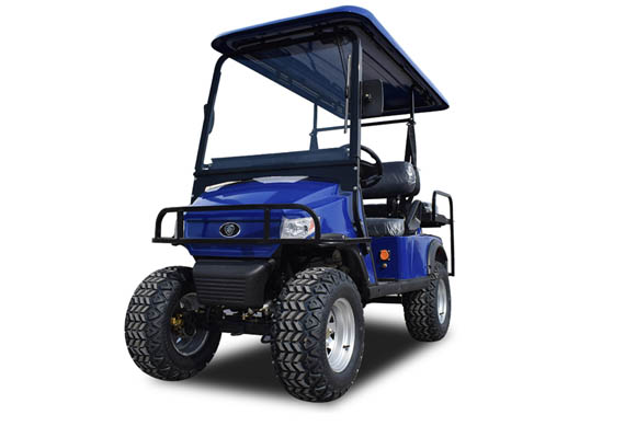 2 person electric golf cart with high quality