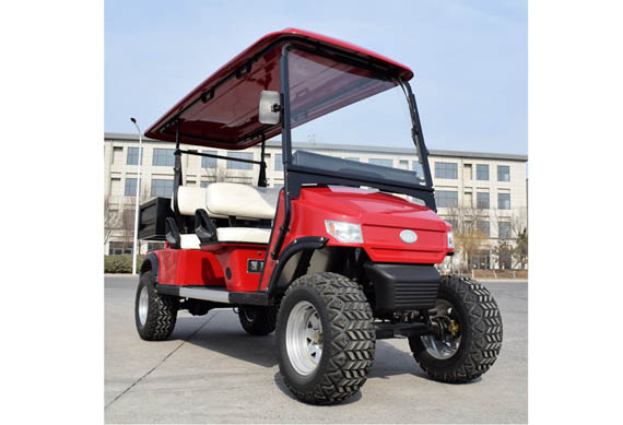 2 person electric golf cart with high quality