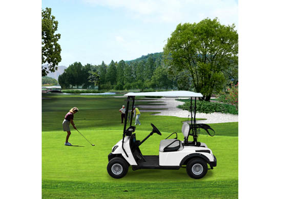 2 person electric golf cart with high quality