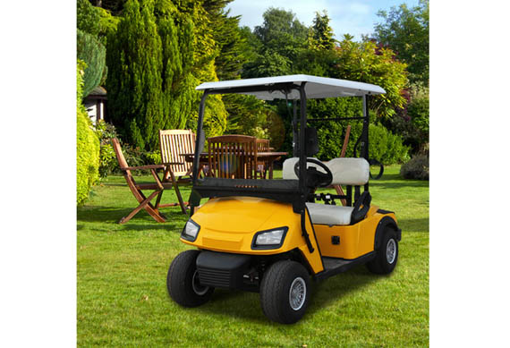 2 person electric golf cart with high quality