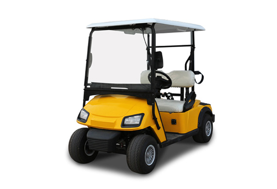 2 person electric car club golf cart