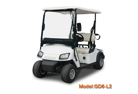 2 person electric car club golf cart