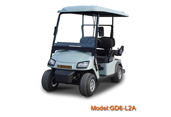 2 person electric car club golf cart