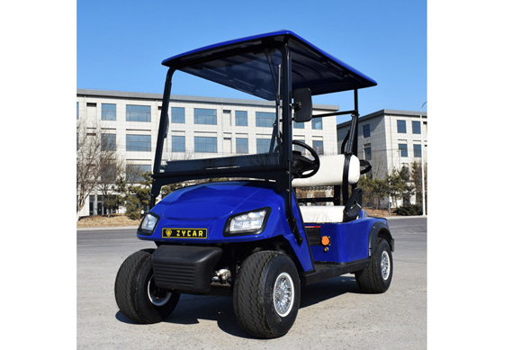 2 person electric car club golf cart