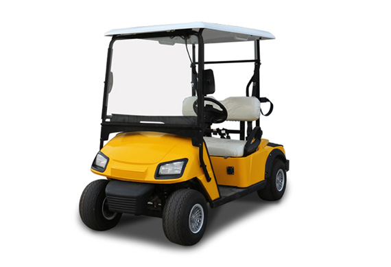 Golf carts electric with 2 Seats