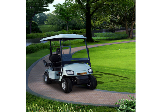 Golf carts electric with 2 Seats