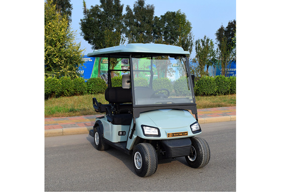 Golf carts electric with 2 Seats