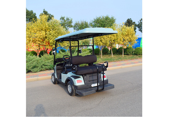 Golf carts electric with 2 Seats