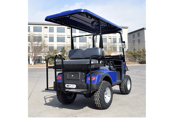 Factory Quality off road electric golf cart and golf buggy for sale