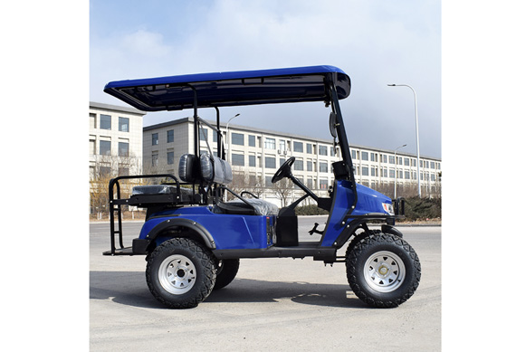 Factory Quality off road electric golf cart and golf buggy for sale