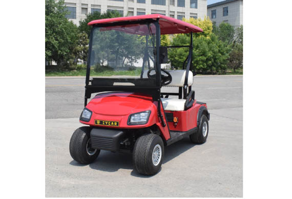 passenger 2 person electric car golf cart from China