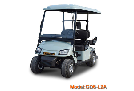 passenger 2 person electric car golf cart from China