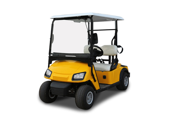 passenger 2 person electric car golf cart from China