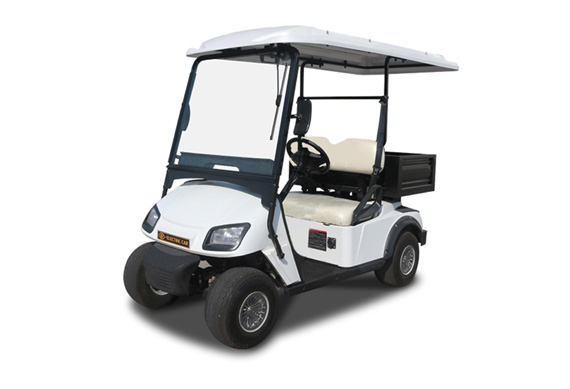 passenger 2 person electric car golf cart from China