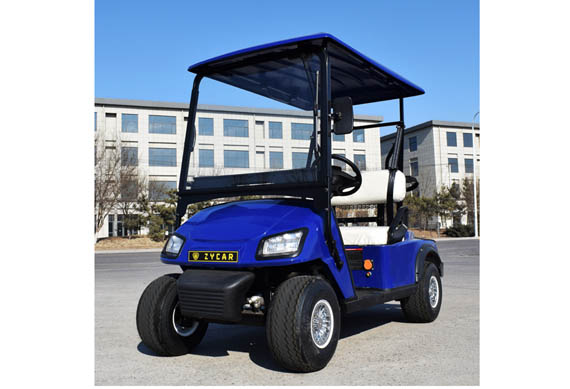 2 seat small golf carts Electric four-wheeled sightseeing car