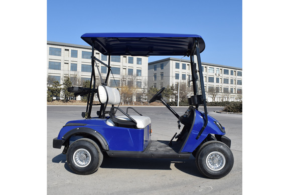 Zhongyi Low Price Back to back electric Golf buggy for Wholesale