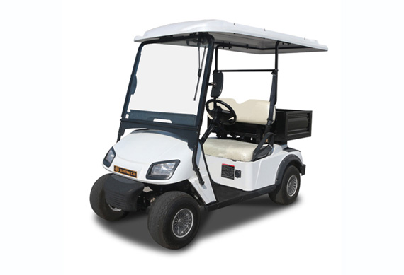 New design Golf Buggy with high quality